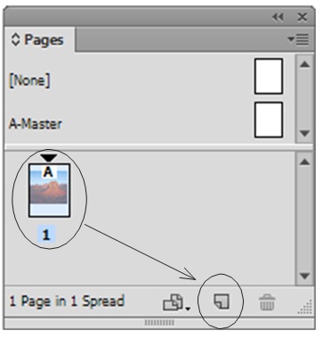 a screenshot of the 'pages' menu in InDesign