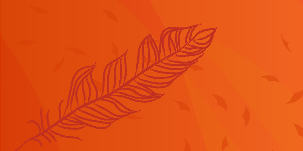 Illustrated feather on an orange background