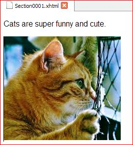 The caption above this cat image is NOT alt text