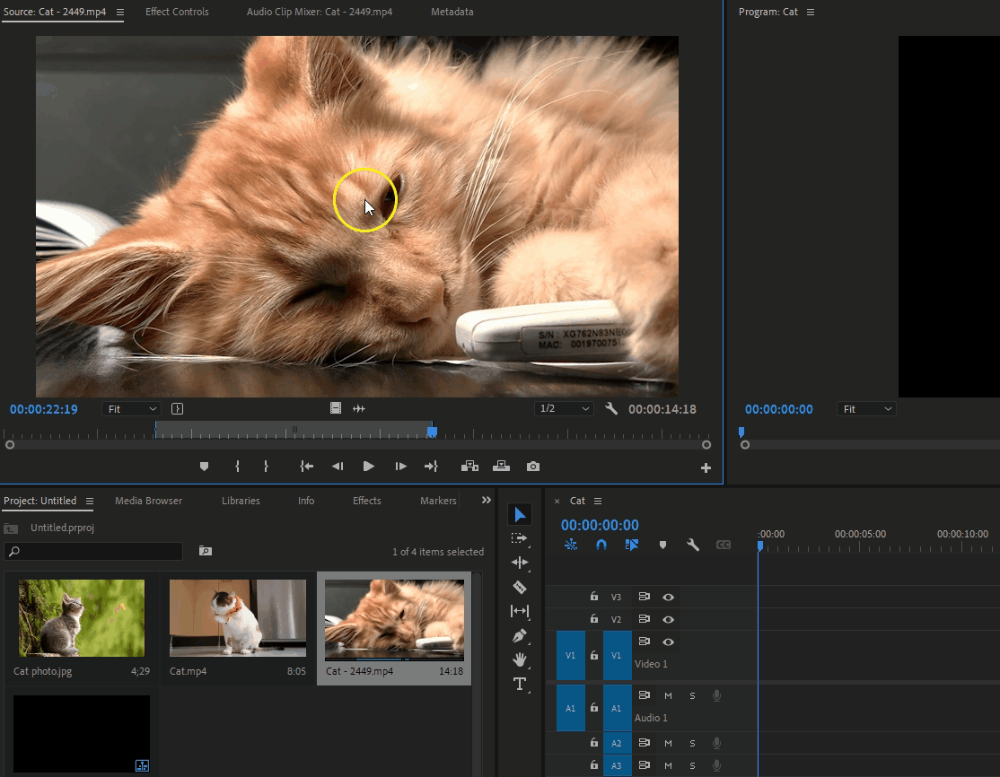 How to Create an Animated GIF in Premiere Pro 