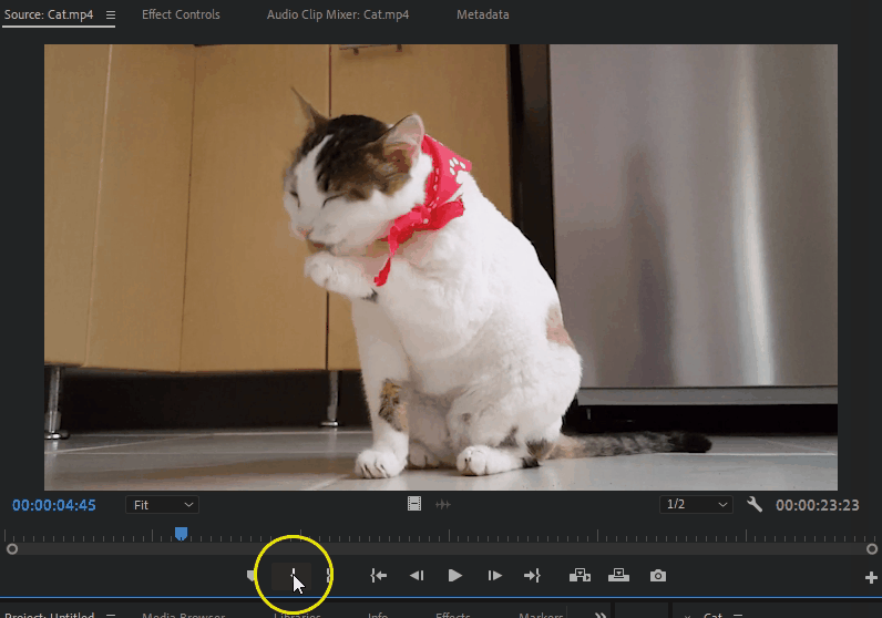 Adding In and Out points in Adobe Premiere Pro