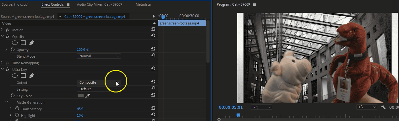 Changing to Alpha channel in Adobe Premiere Pro