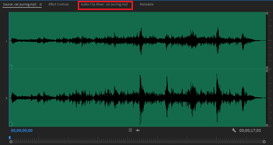 Audio editing options in the Source Monitor in Premiere Pro