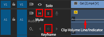 Audio levels in Adobe Premiere Pro