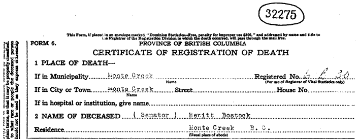 Example Certificate of Death