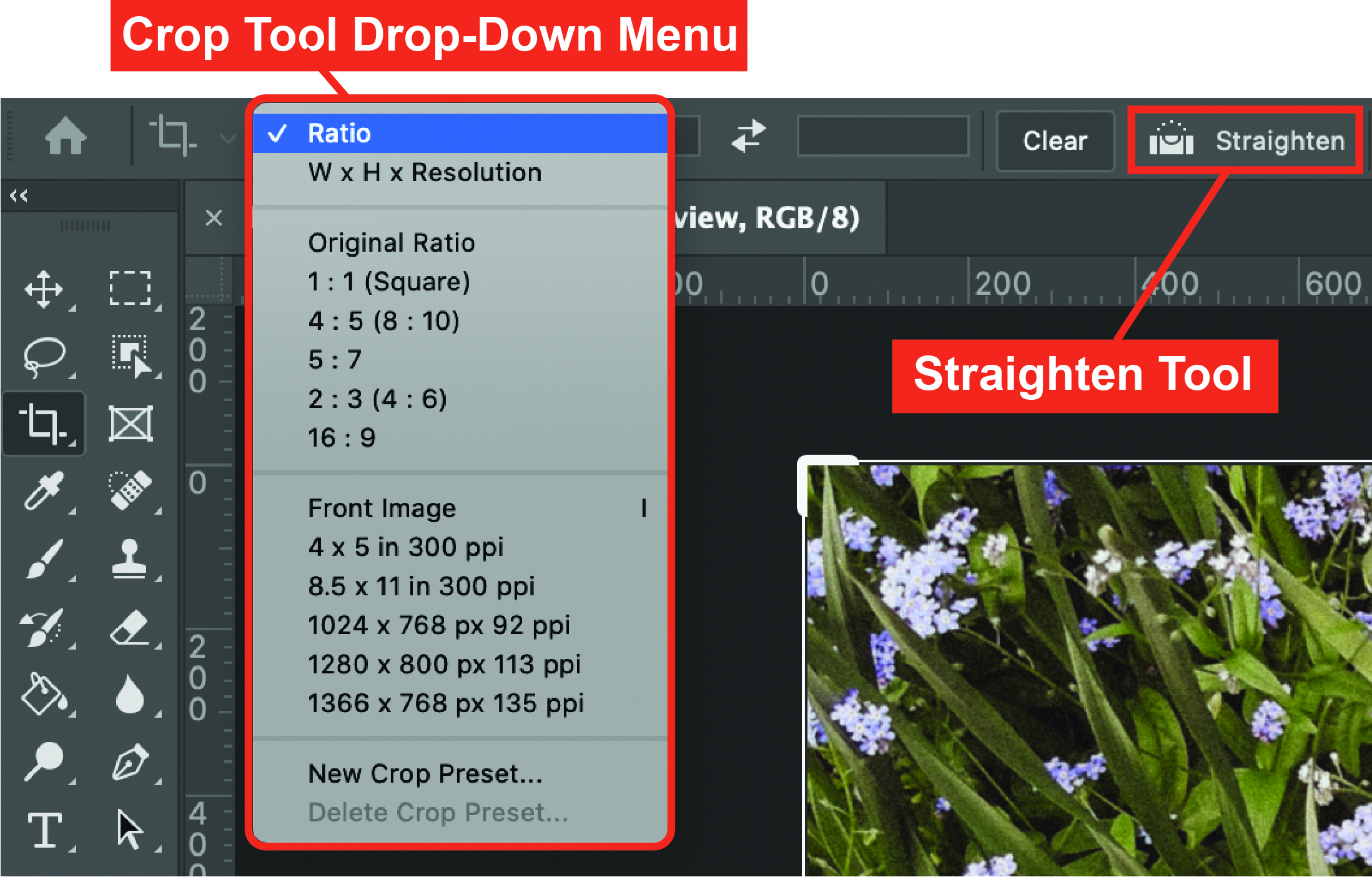 Crop Tool Drop-Down Menu