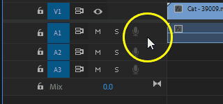 Expanding audio track in Adobe Premiere Pro