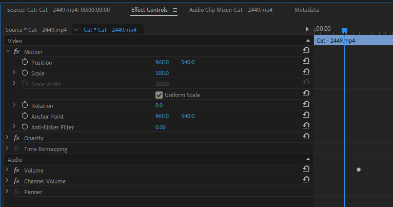 Effect controls in Adobe Premiere Pro