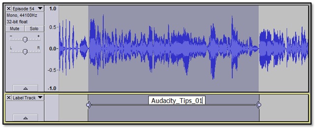 a screenshot of a clip in Audacity