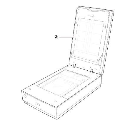 an image illustrating the scanner without the mat