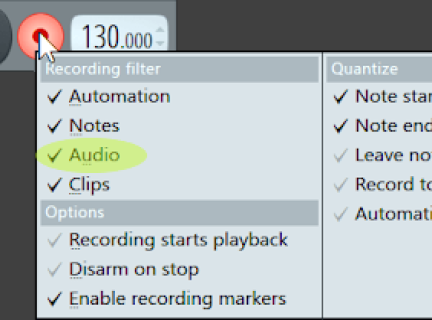 Enable Audio in Record Menu