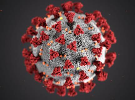 An image of a coronavirus