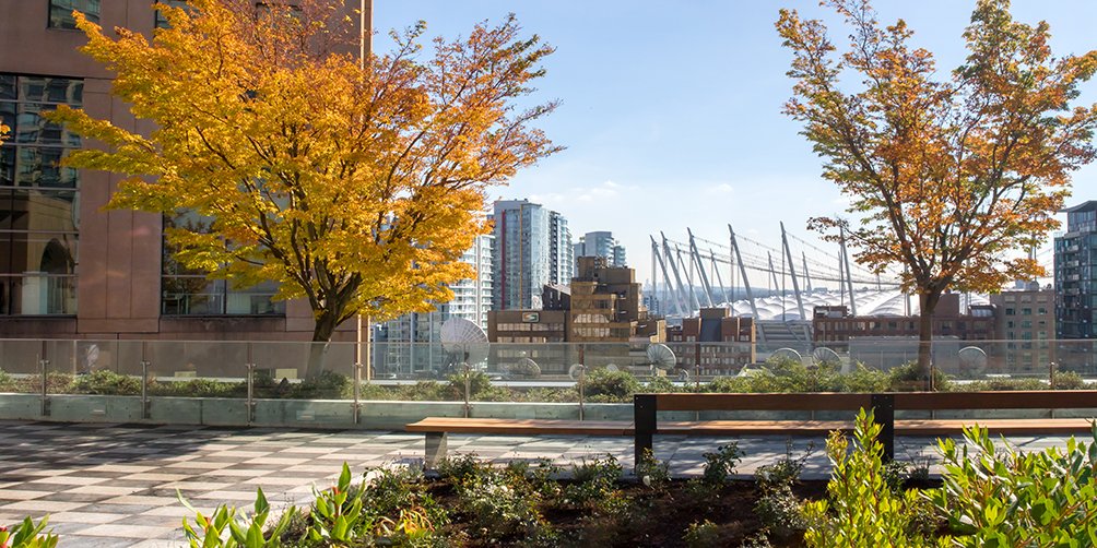 Photo from rooftop garden looking north-east