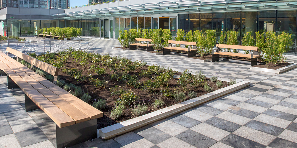 Photo from rooftop garden looking north-west