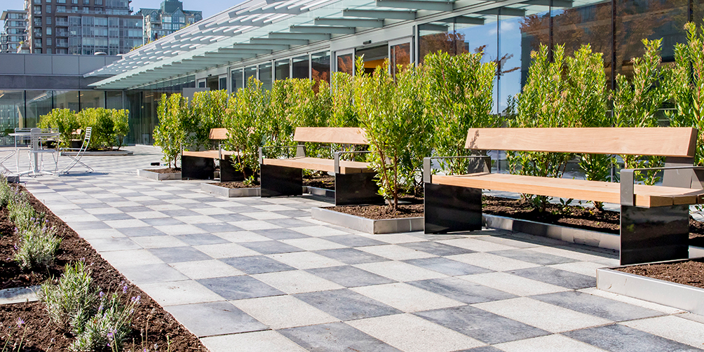 Photo from rooftop garden looking north-west showing benches