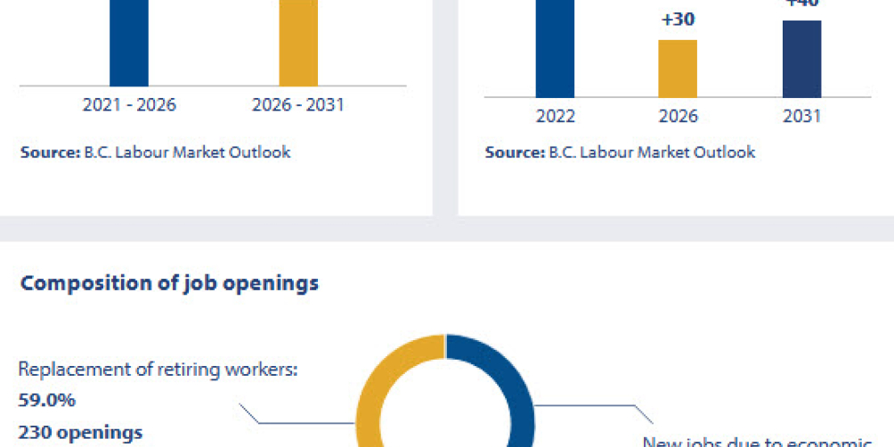 an infographic showing employment outlook in BC regions for professional engineers