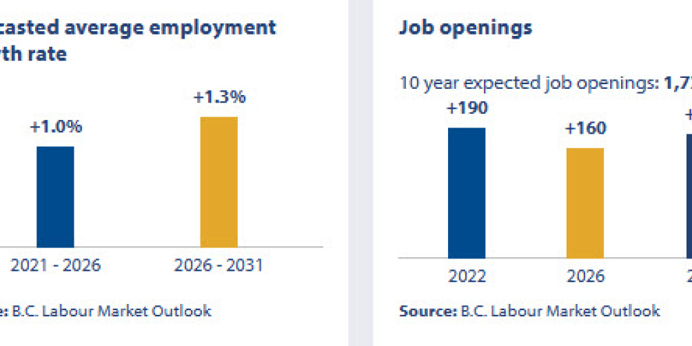 an infographic showing the job openings outlook in british columbia for social policy researchers