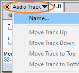 Name Track in Audacity